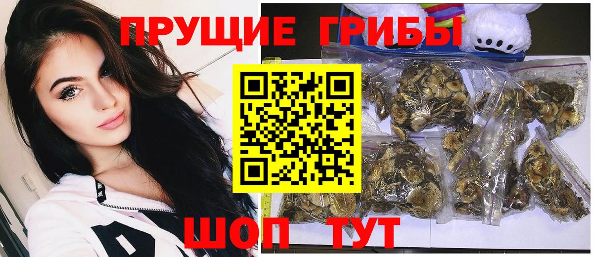 Ревда  Галлюциногенные грибы Magic Shrooms  Вход с VPN 