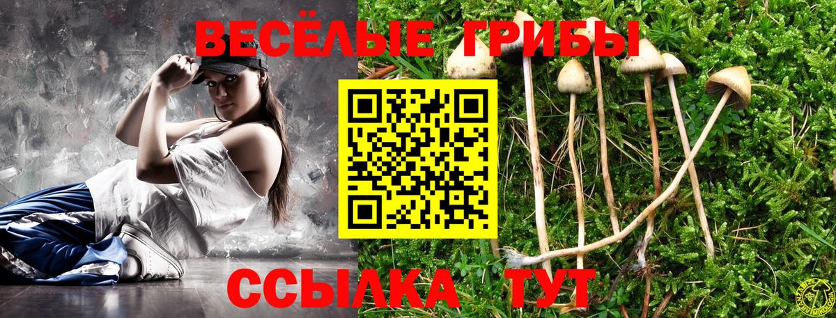 Галлюциногенные грибы Cubensis Ревда